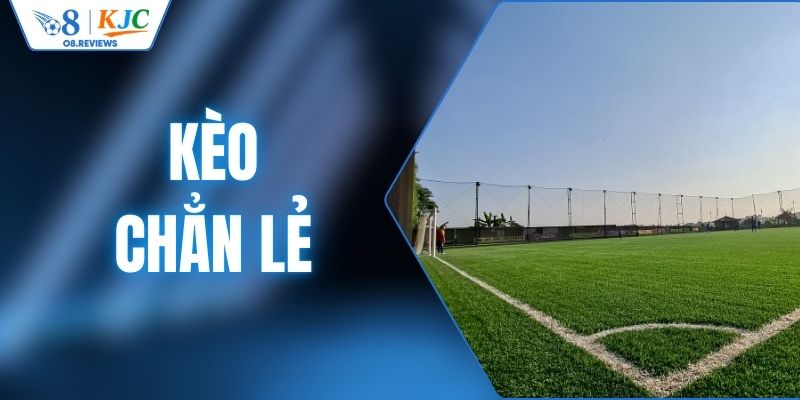 Khám Phá Kèo Chẵn Lẻ Và Cách Tham Gia Dễ Hiểu Cho Người Mới